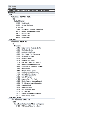Budget Allocation Form
