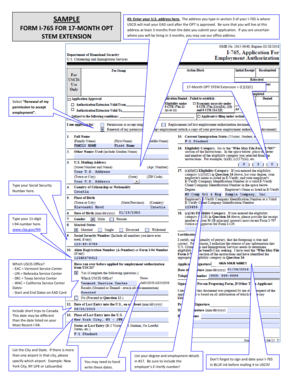 Form preview picture