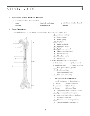 Study Guide 6: Skeletal System