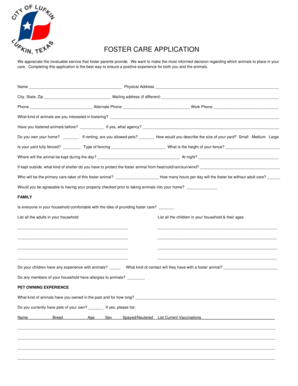Foster Care Application