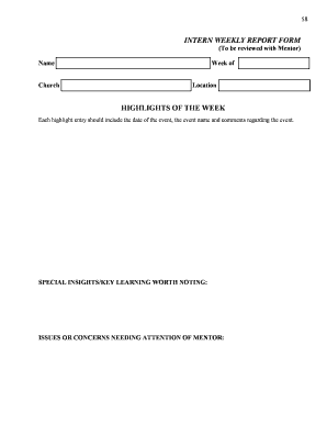 Intern Weekly Report Form