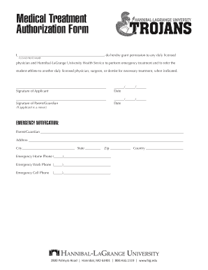 Medical Treatment Authorization Form