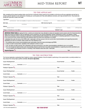 Mid-Term Report Form