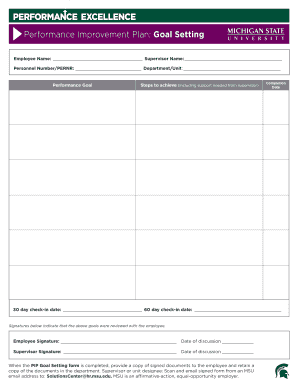 Performance Improvement Plan