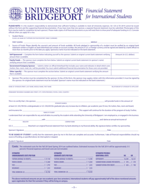 University of Bridgeport Financial Statement Form