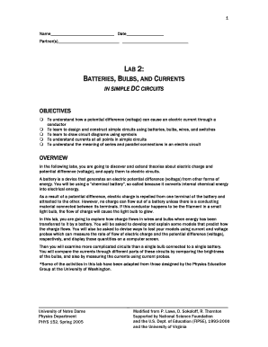 Physics Lab Report Template