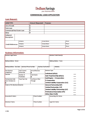 Commercial Loan Application Form
