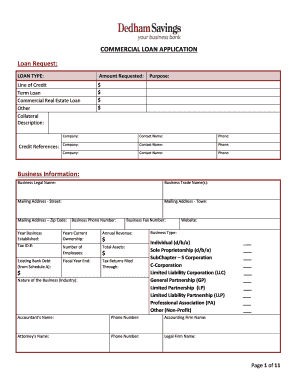 Commercial Loan Application Form