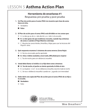 Plan de acción para el asma