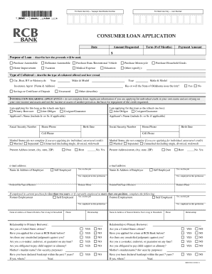 Consumer Loan Application Form