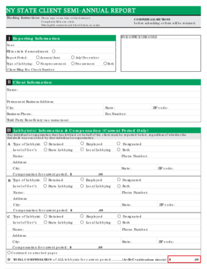 NY State Client Semi-Annual Report