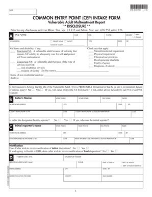 Vulnerable Adult Maltreatment Report Form