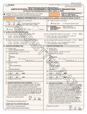 Form SF-SAC for Federal Audit Reporting