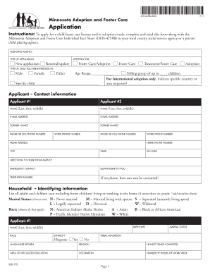 Minnesota Adoption and Foster Care Application