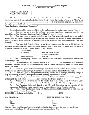 Balance sheet example - THE STATE OF TEXAS COUNTY OF HARRIS - ci tomball tx