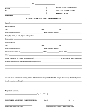 Plaintiff’s Original Small Claims Petition
