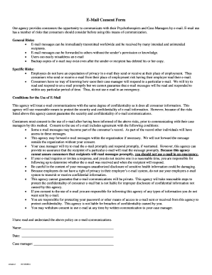 E-Mail Consent Form