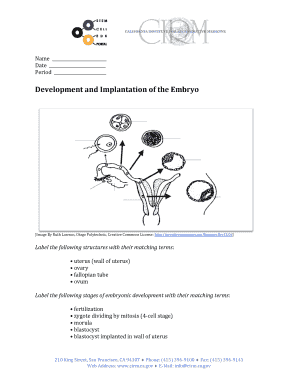 Embryonic Development Labeling Worksheet