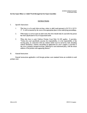 Georgia Probate Court Service Form