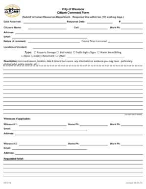 Form preview