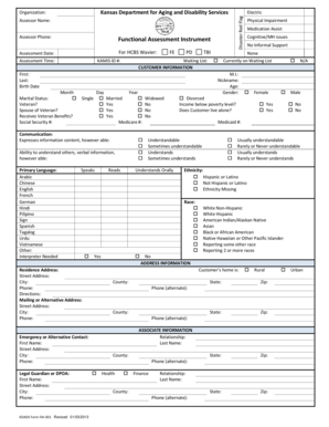 Kansas Functional Assessment Instrument Form