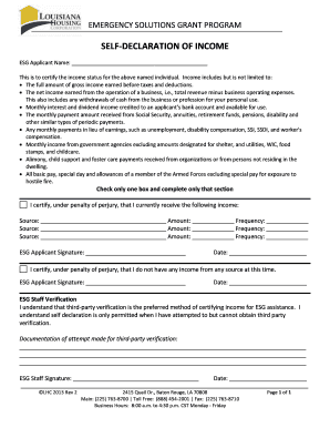 Emergency Solutions Grant Income Declaration Form