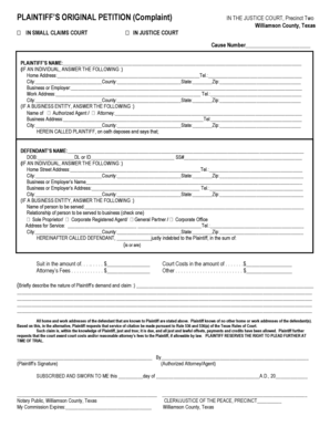 Plaintiff's Original Petition (Complaint)