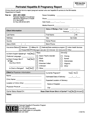 Perinatal Hepatitis B Pregnancy Report