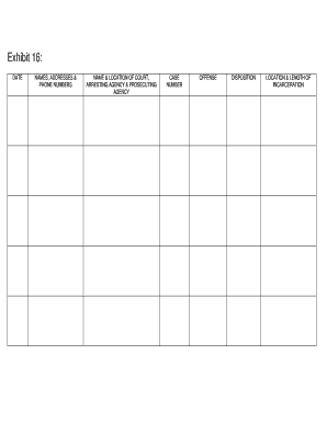 Criminal Case Disposition Form