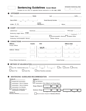 Virginia Felony Sentencing Guidelines Form