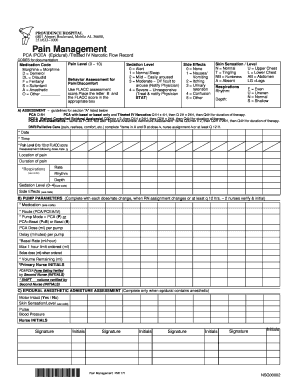 PCA / PCEA Epidural Narcotic Flow Record