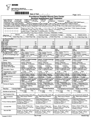 Providence Hospital Wound Care Assessment Form
