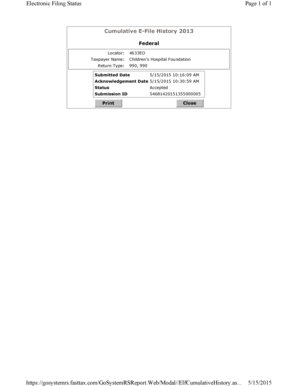 IRS Form 990 2013
