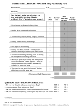 Form preview picture