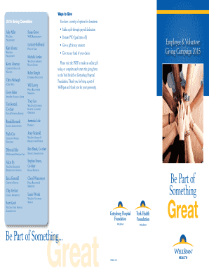 WellSpan Employee & Volunteer Giving Form