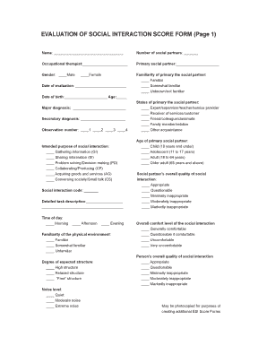 Evaluation of Social Interaction Score Form