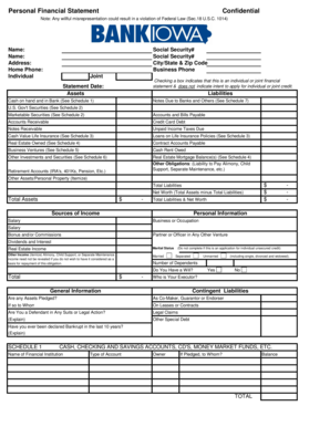 Personal Financial Statement Form