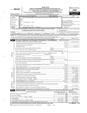 Form 990-EZ 2008