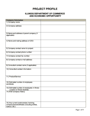 Illinois Business Project Profile