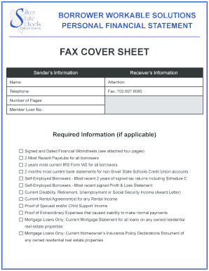 Borrower Workable Solutions Personal Financial Statement
