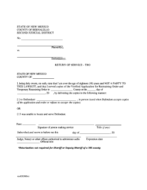 New Mexico Temporary Restraining Order Return of Service