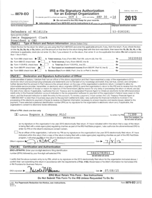 Form 990 2013