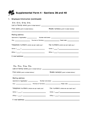 Supplemental Form 4 - Sections 28 and 40