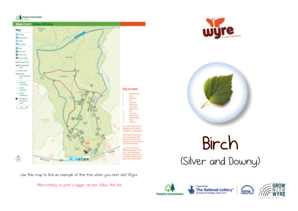 Fiba scoresheet editable - Wyre Forest Callow Hill area Key - forestrygovuk - forestry gov