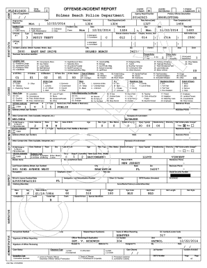 Florida Shoplifting Incident Report