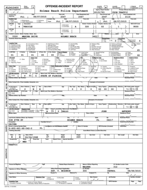 Florida Traffic Offense Incident Report