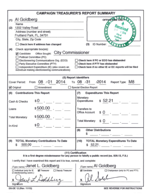 Campaign Treasurer's Report Summary