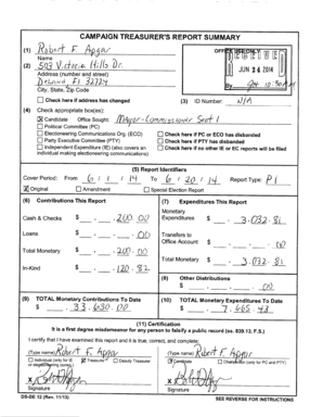 Florida Campaign Treasurer Report