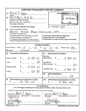 Campaign Treasurer Report
