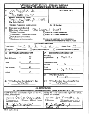 Florida Campaign Treasurer's Report